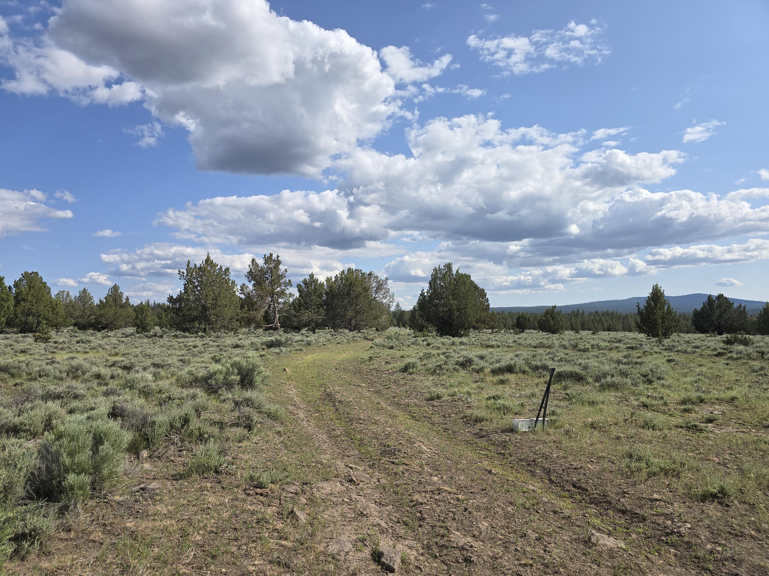 Property Photo: Fishhole Creek Road OR 97622