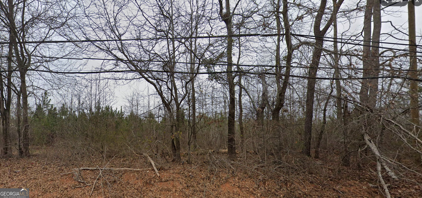 Property Photo: 1765 High Falls Road GA 30223