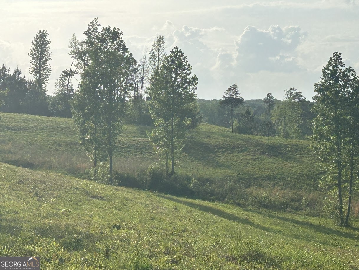 Property Photo: 0 Needmore Road - (345.37 Acres) GA 30170