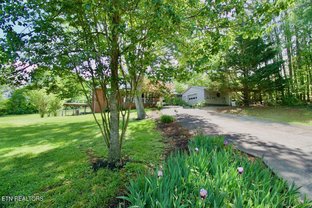 Property Photo: 2814 Montvale Rd TN 37803