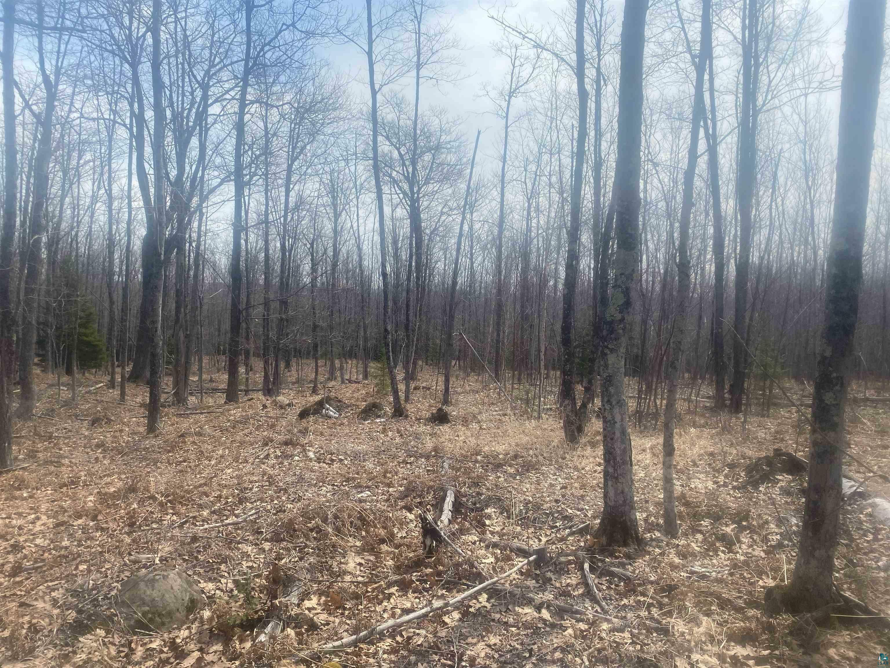 Property Photo: Tbd E Old Hwy 13 WI 54844
