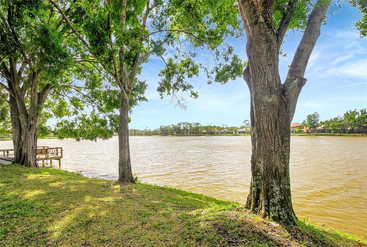 Property Photo: 9630 Tree Tops Lake Road FL 33626