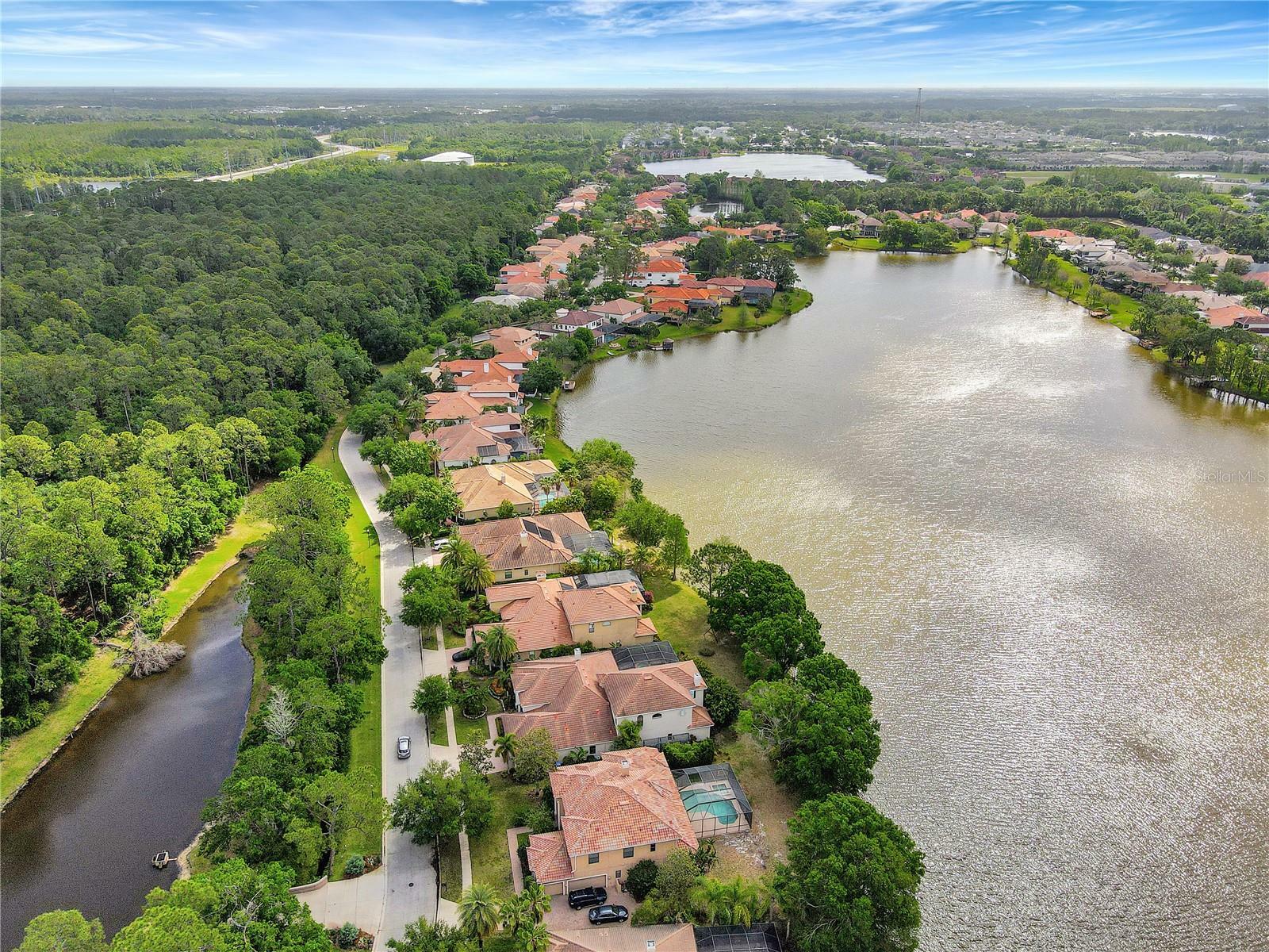 Property Photo: 9630 Tree Tops Lake Road FL 33626