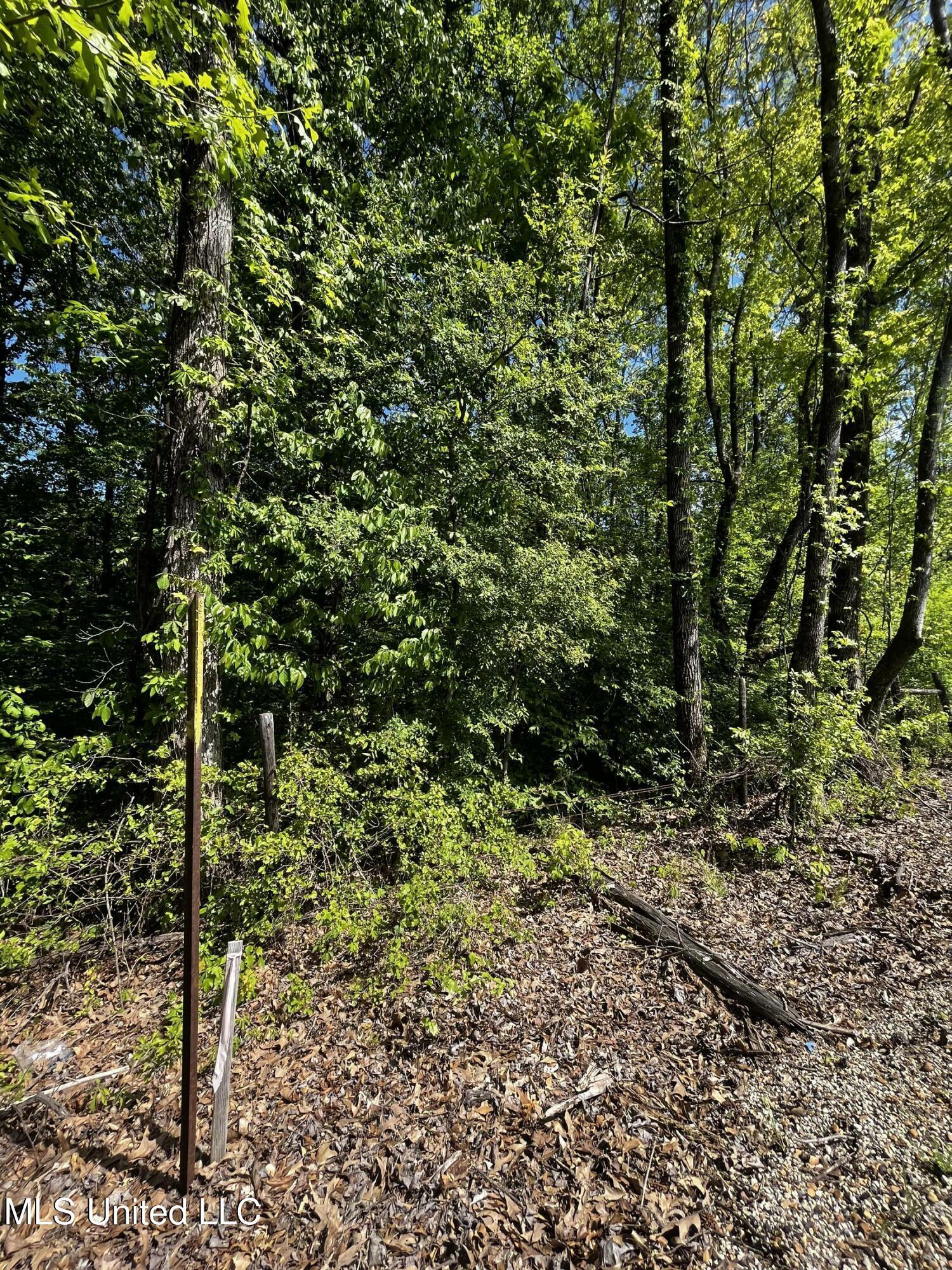 Property Photo: 0 Bend Road MS 38618