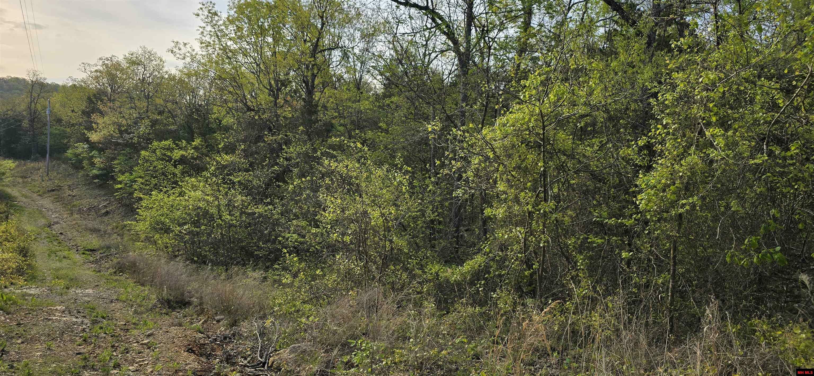 Property Photo: 167 New Hope Lane AR 72653