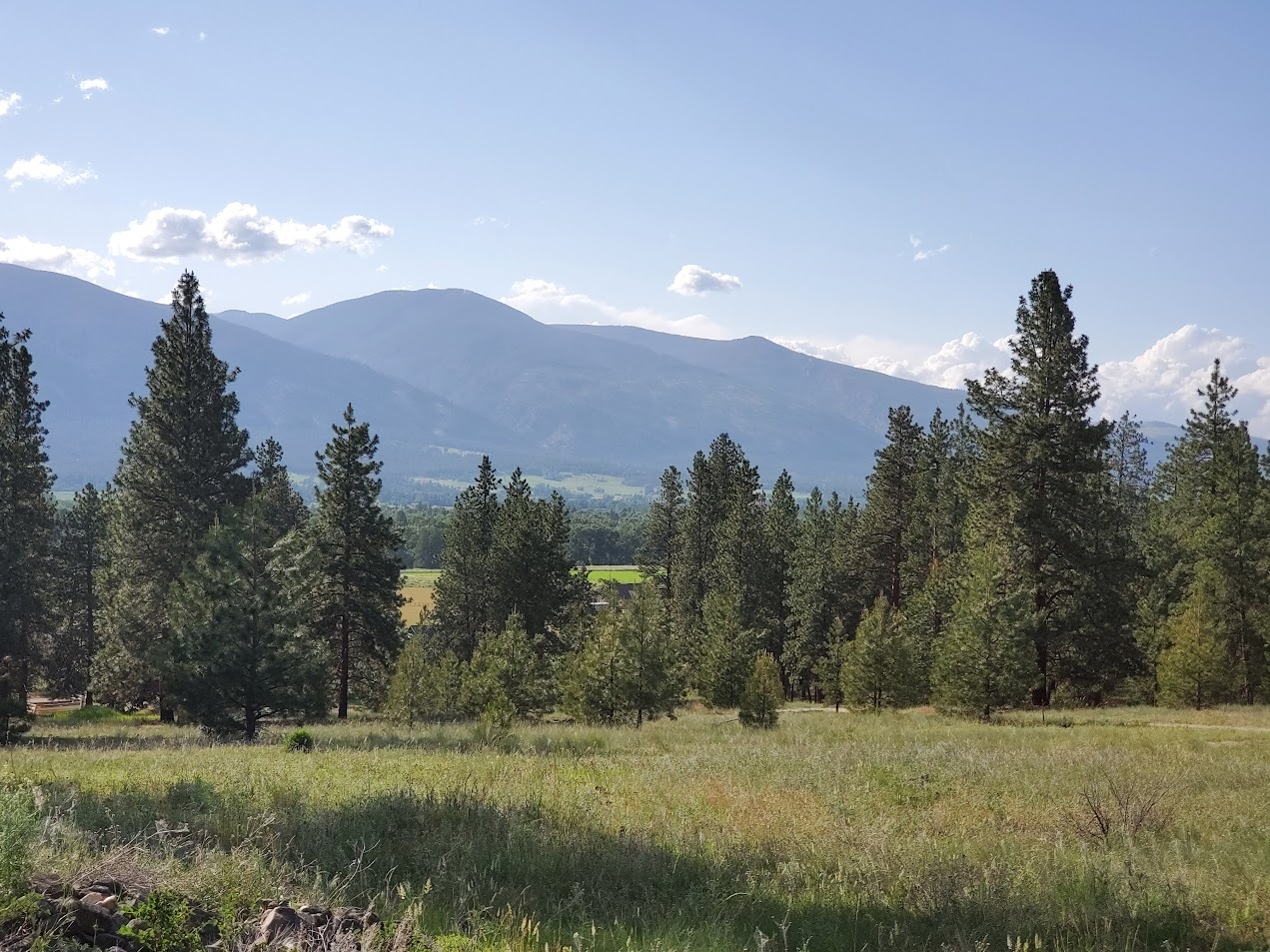 4784 Cameron Rose Lane  Stevensville MT 59870 photo