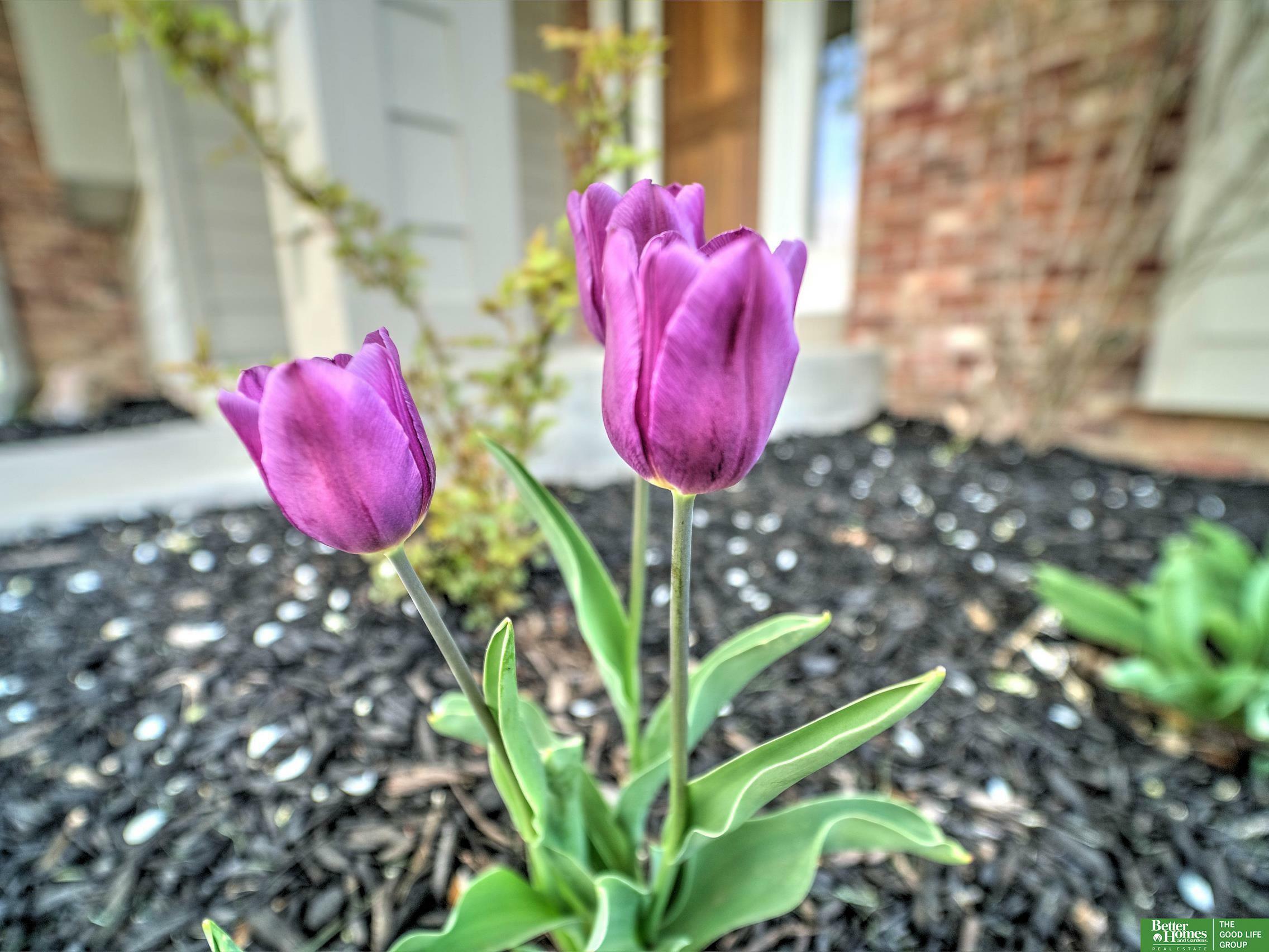 Property Photo: 215 S 163 Street NE 68118