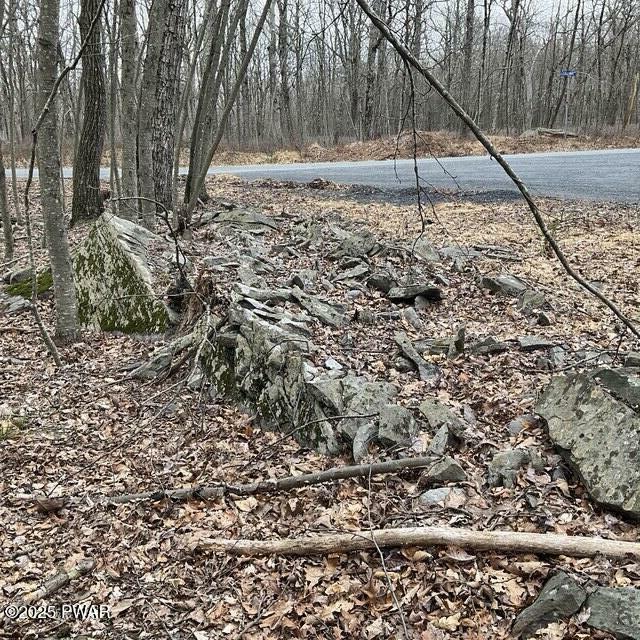 147 Ledgeway Dr Drive  Dingmans Ferry PA 18328 photo