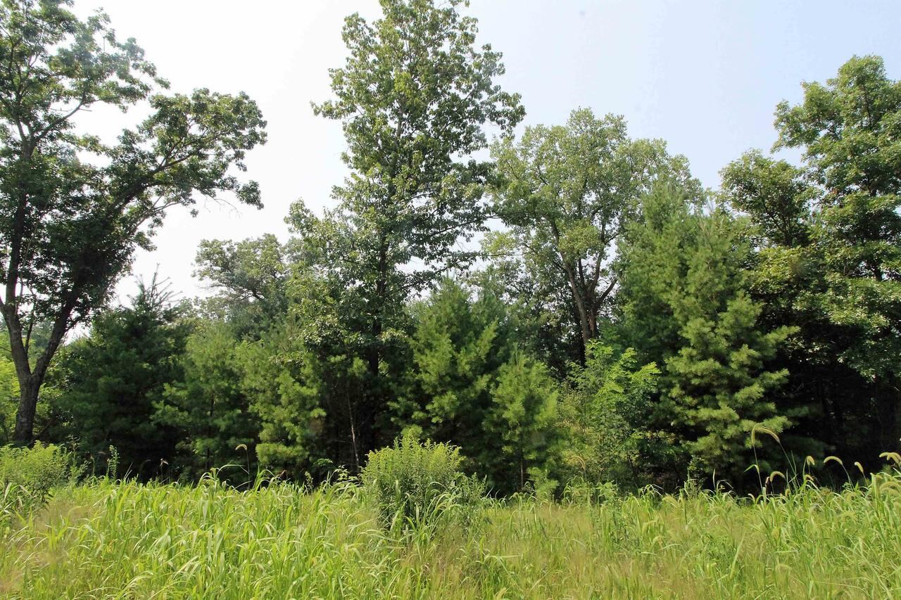 Property Photo: Lot19 Timber Trail WI 53588