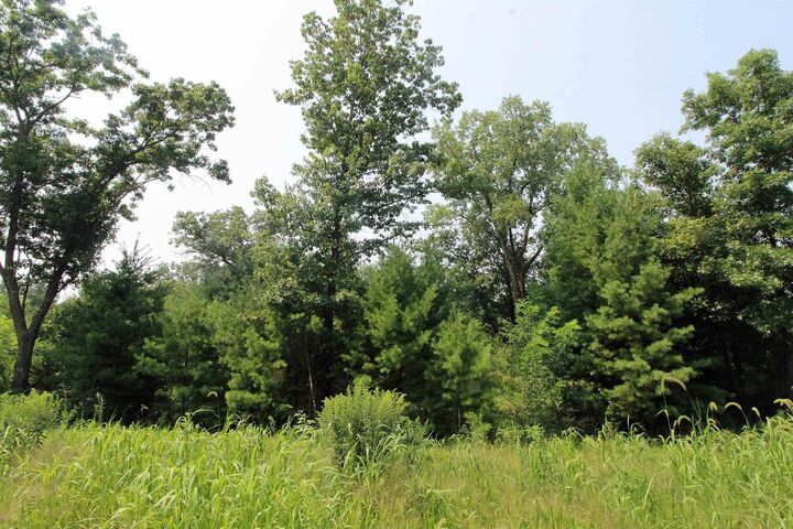 Lot19 Timber Trail  Spring Green WI 53588 photo