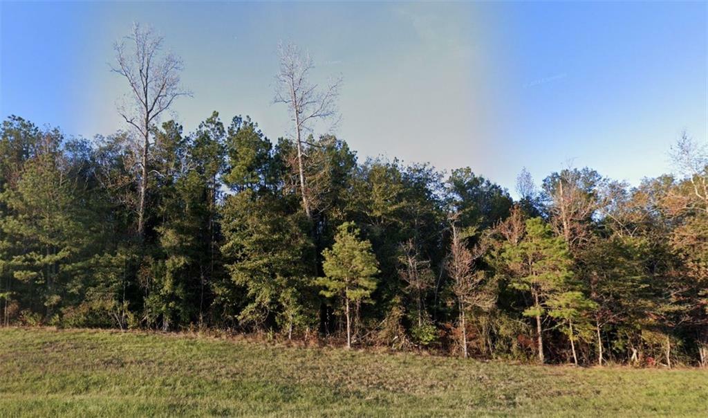 Property Photo:  Lot 8 - Tbd 28 West Highway  LA 71409 