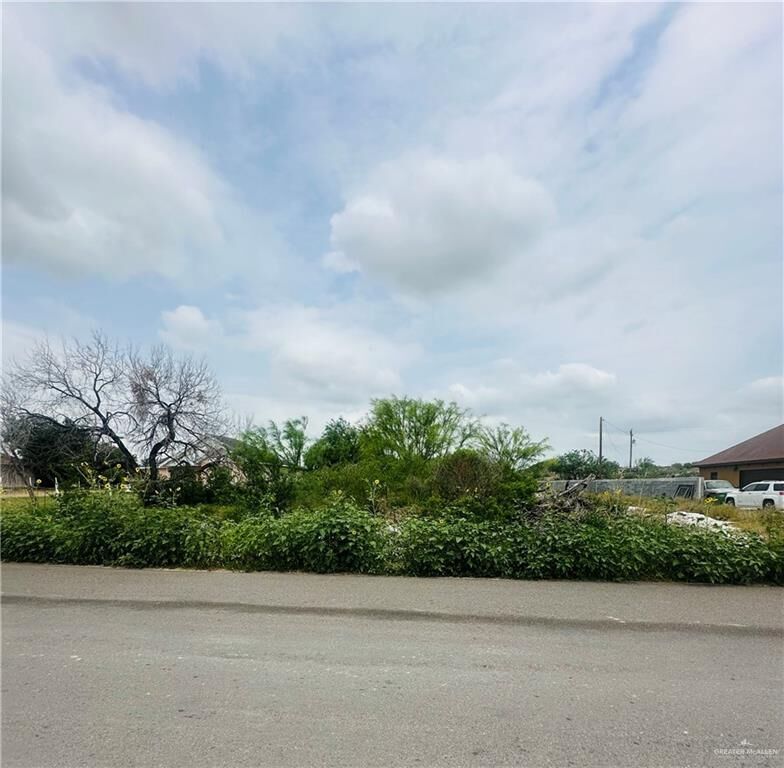 Property Photo: 0 N La Paloma Street TX 78582