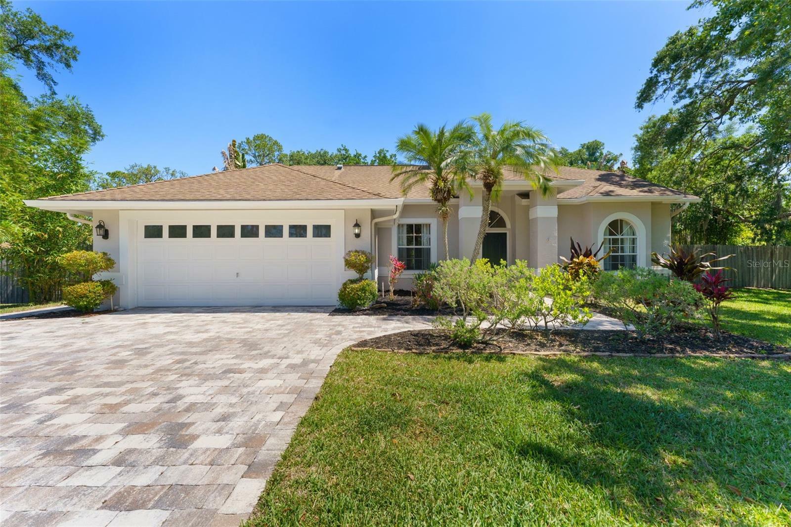 12503 Bronco Drive  Tampa FL 33626 photo