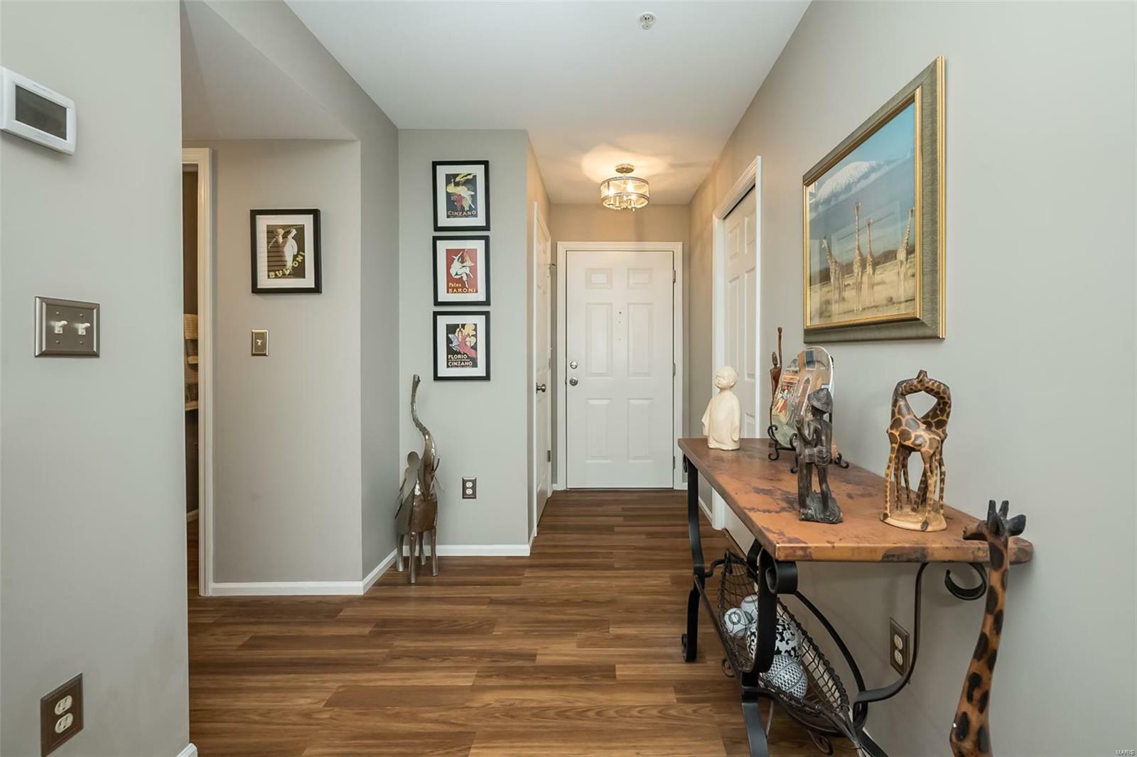 Property Photo:  1217 Woodland Point Drive D  MO 63146 