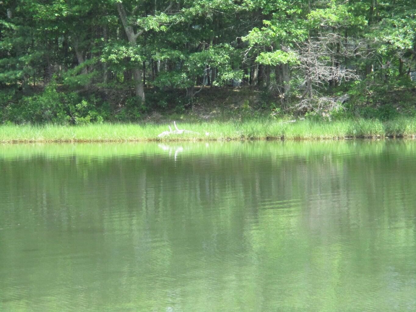 Property Photo: Lot #10 Harding Road Road ME 04011