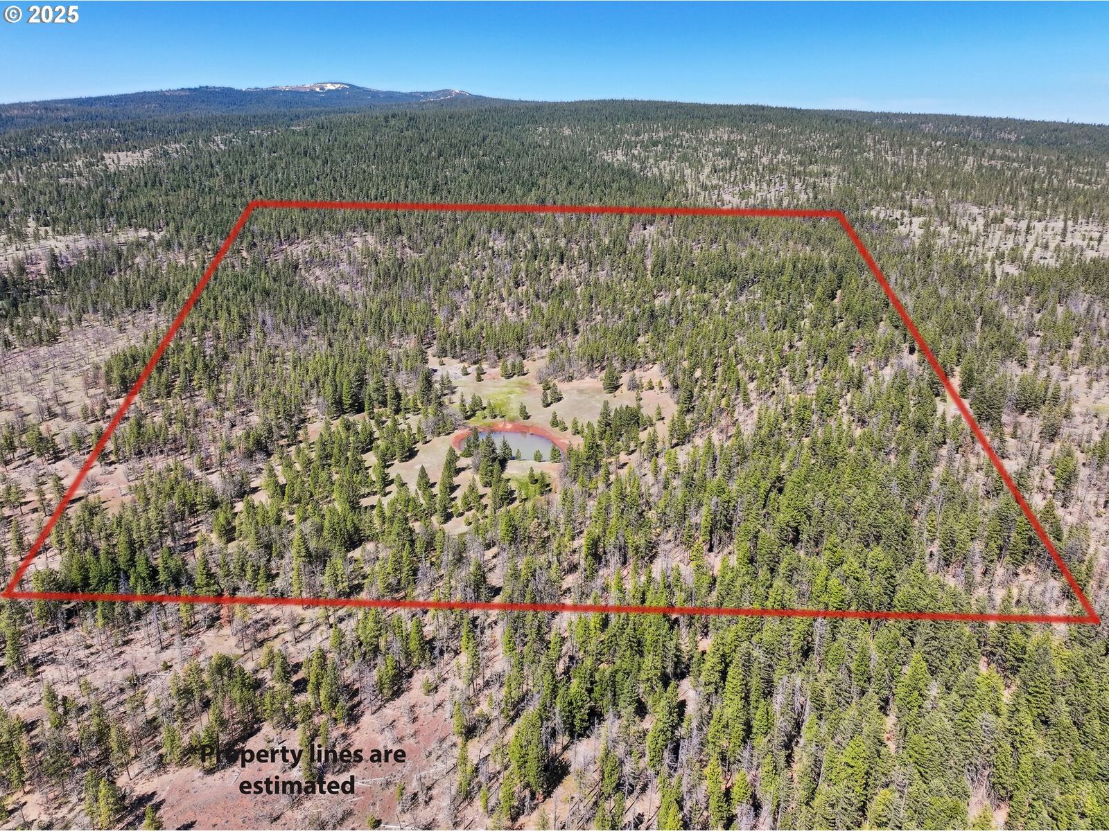 Property Photo:  Nka Tyler Rd  WA 98620 