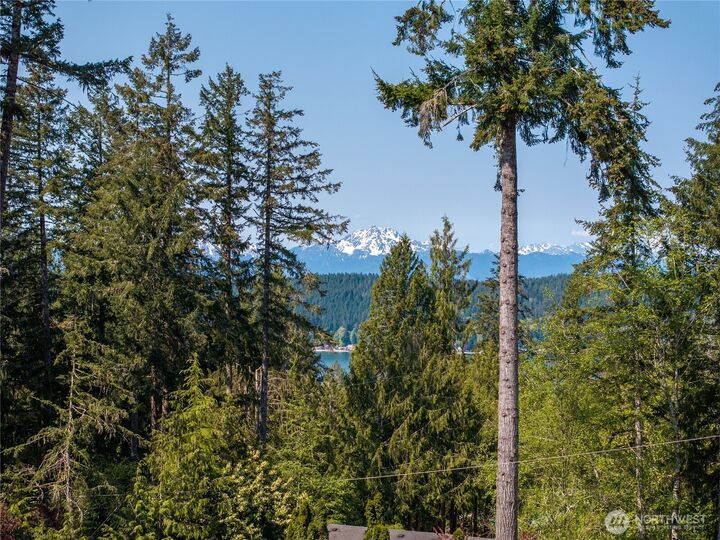 Property Photo: 250 E Hillside Drive WA 98528