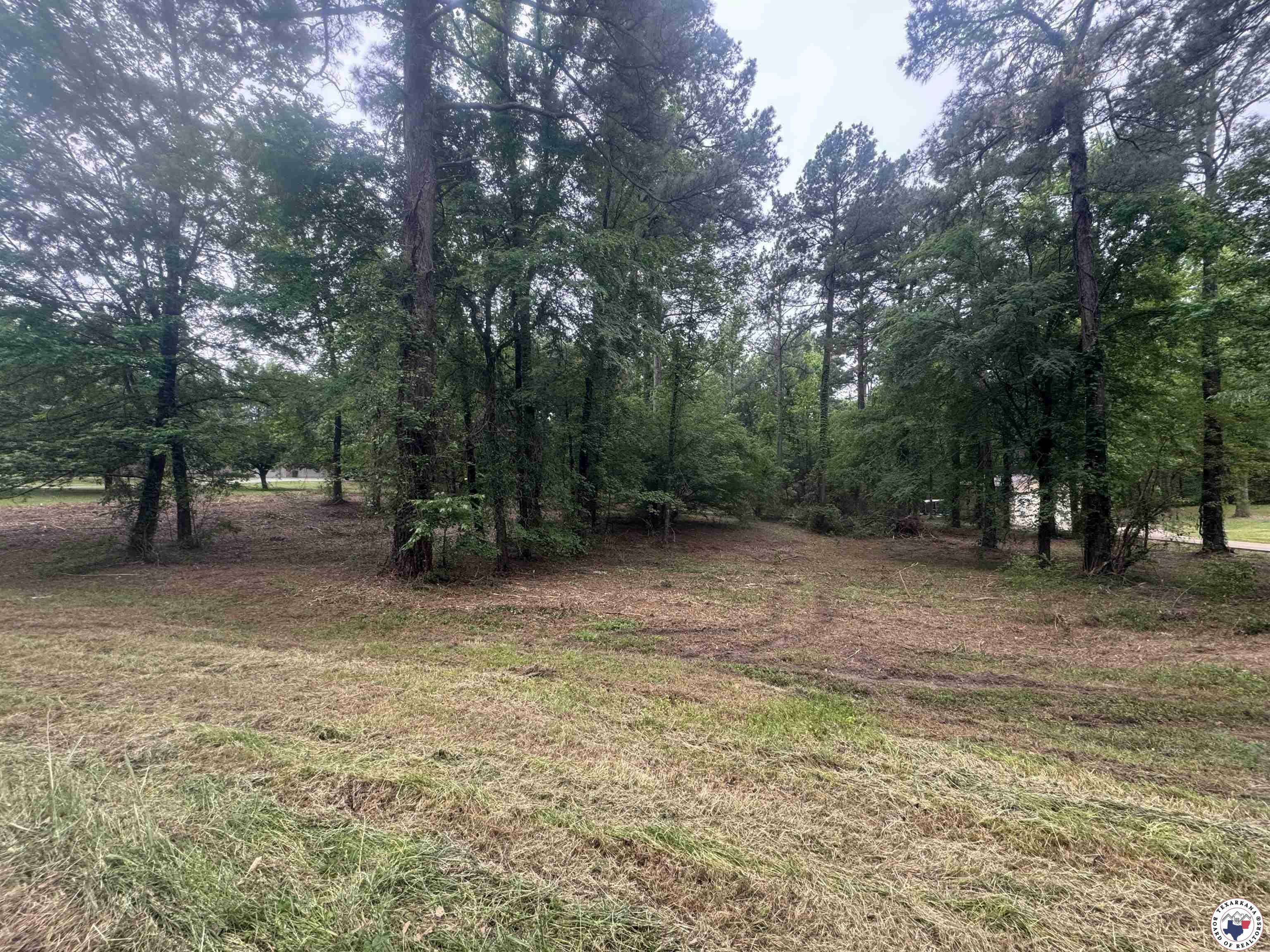 Property Photo: 0 Holly Creek Rd. TX 75503