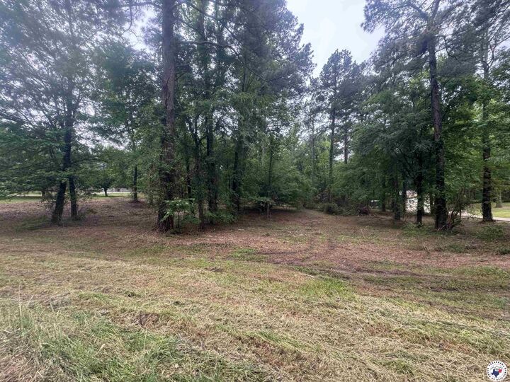Property Photo:  0 Holly Creek Rd.  TX 75503 