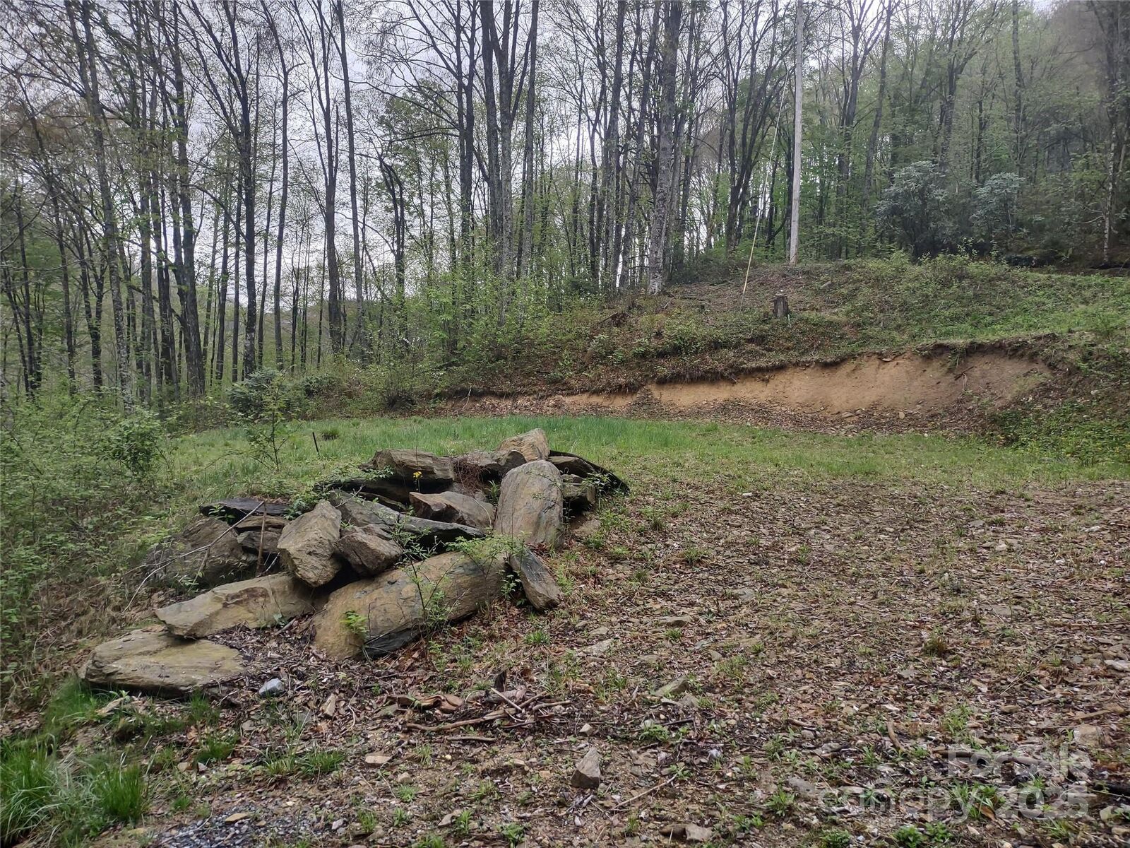 Property Photo:  000 Green Cove Road 35  NC 28751 