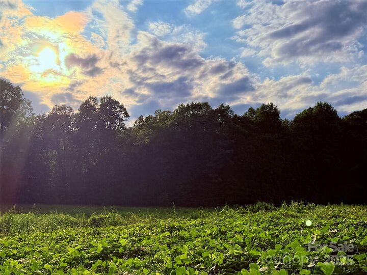 Property Photo:  00 Bill Collins Road  NC 28756