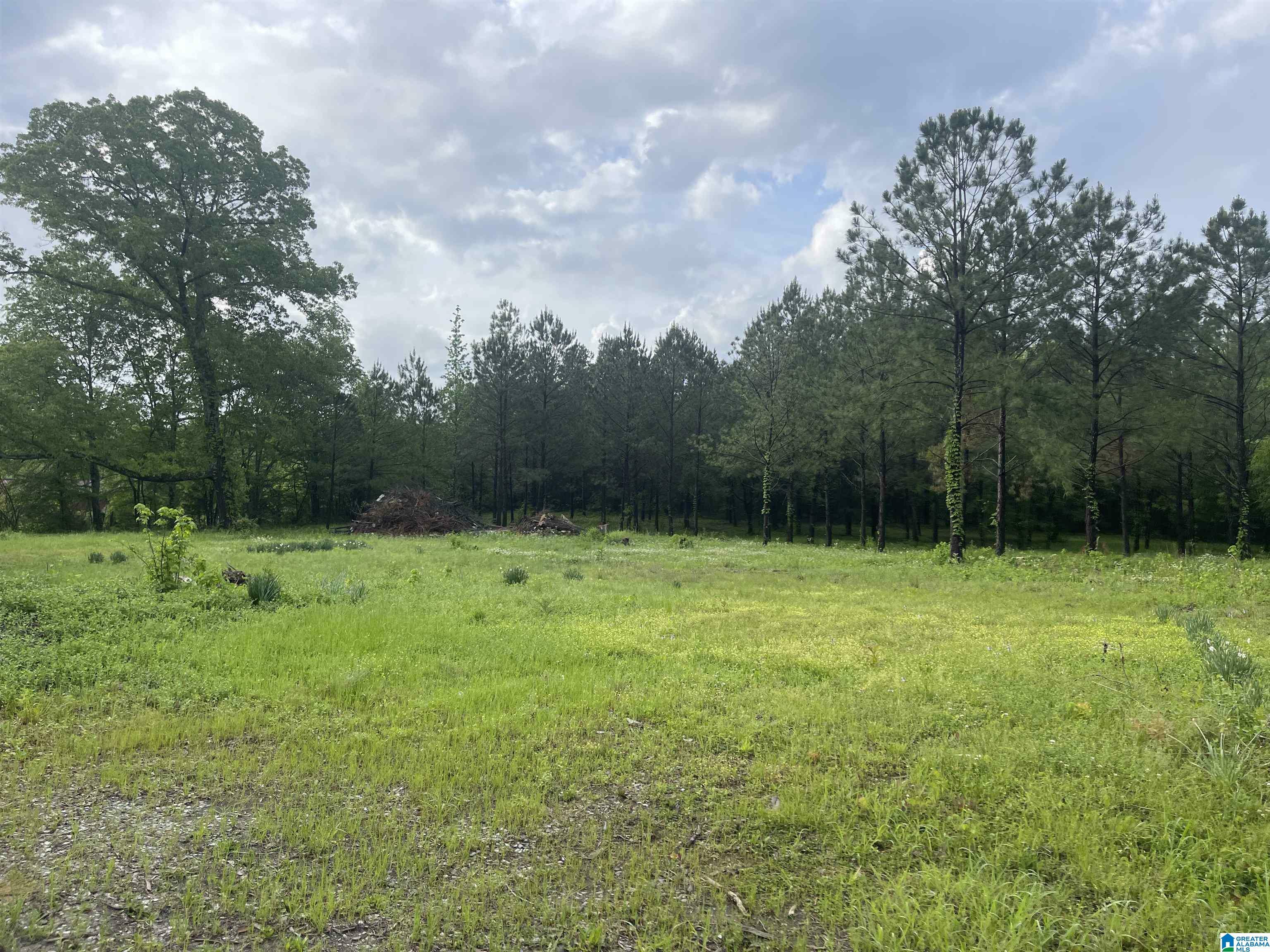 2760 Mitchellville Road 2.75  Ohatchee AL 36271 photo