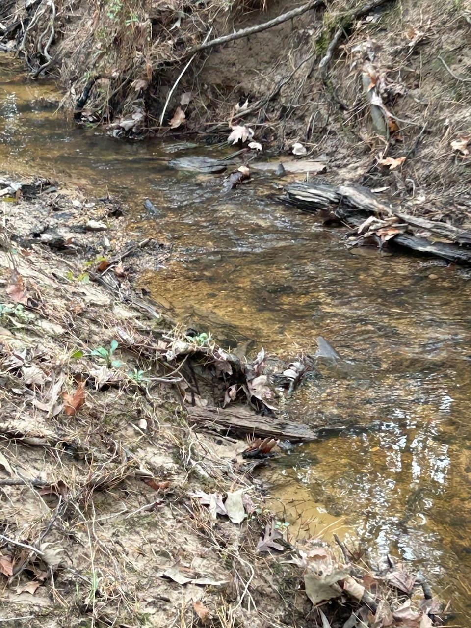Property Photo: Tract 4 Lloyd Walker Road TX 75949