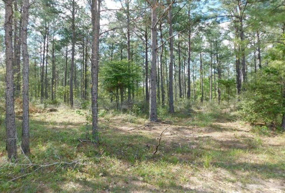 Property Photo: Tbd Lloyd Walker Rd TX 75949