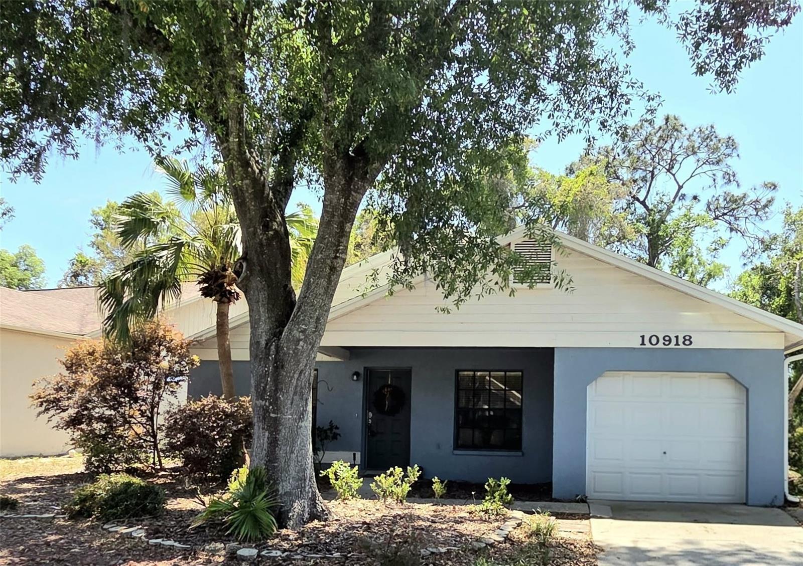 10918 Freemont Drive  New Port Richey FL 34654 photo