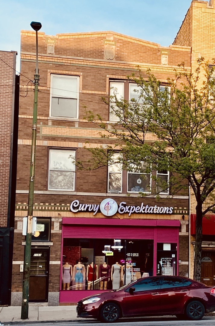 Property Photo: 1103 N Ashland Avenue 2F IL 60622