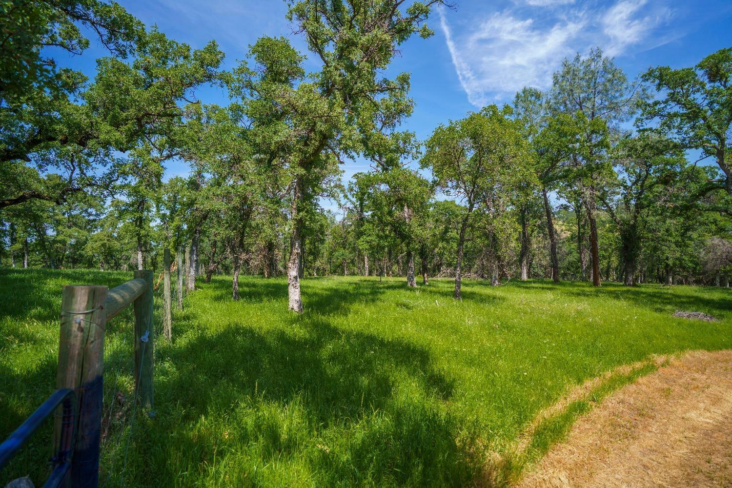 Property Photo: 5885 Johnson Drive CA 95648