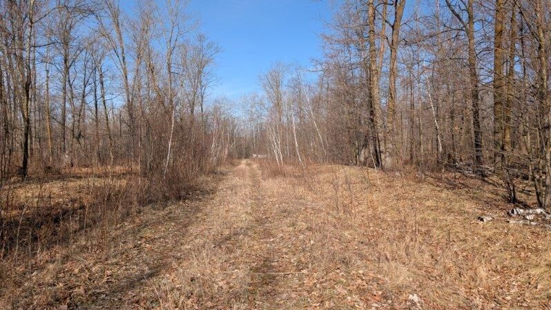 Property Photo: Tbd Lacy Lane MN 56472
