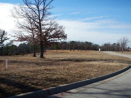 Property Photo: 43 Park Drive AR 72631