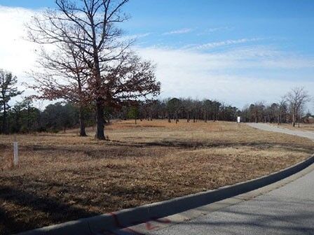 Property Photo:  43 Park Drive  AR 72631 