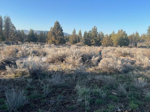Property Photo: 46038 Deer Springs Road Lot 4 OR 97621