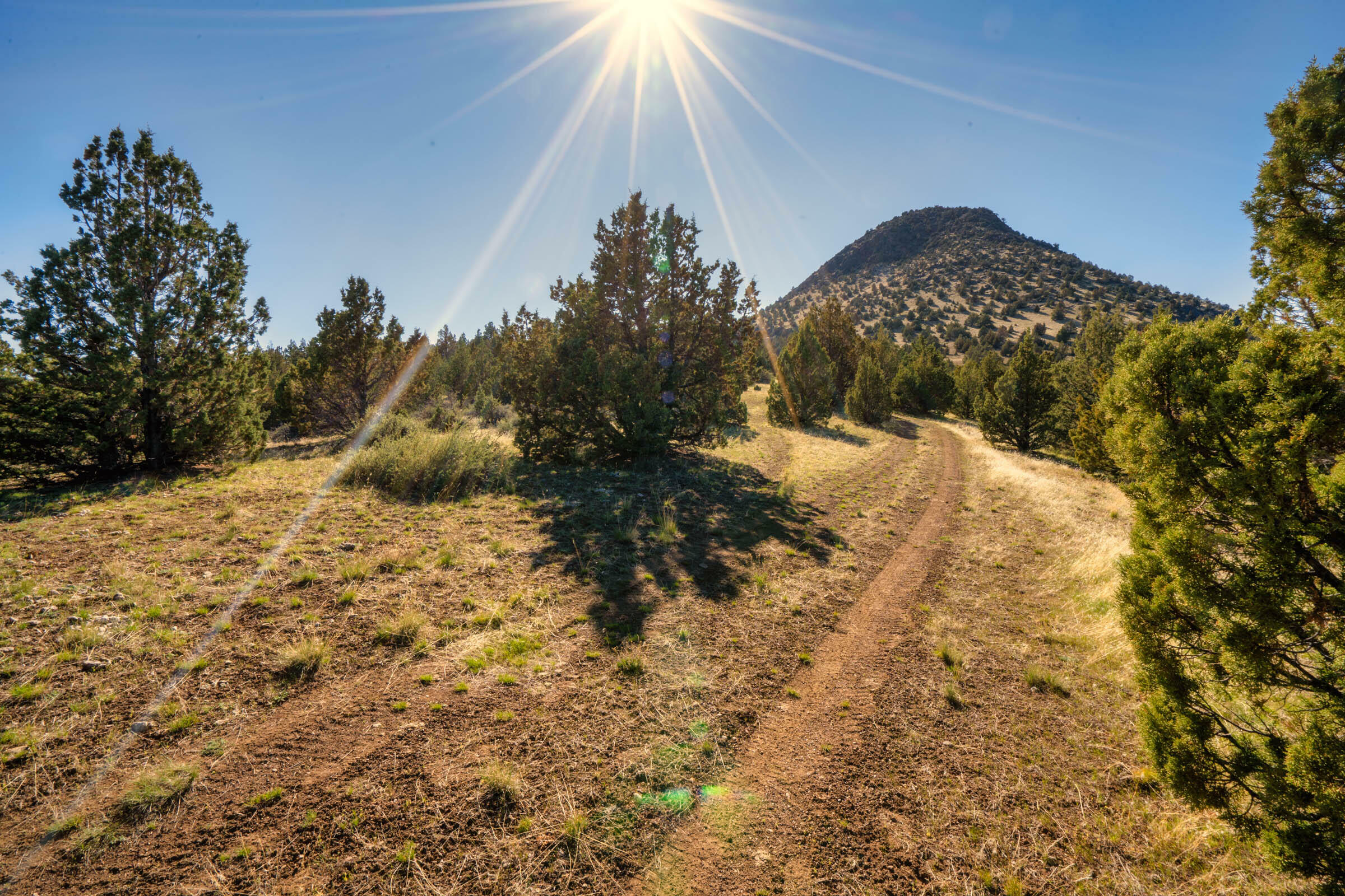 Property Photo: 1755 Lost Coyote OR 97750
