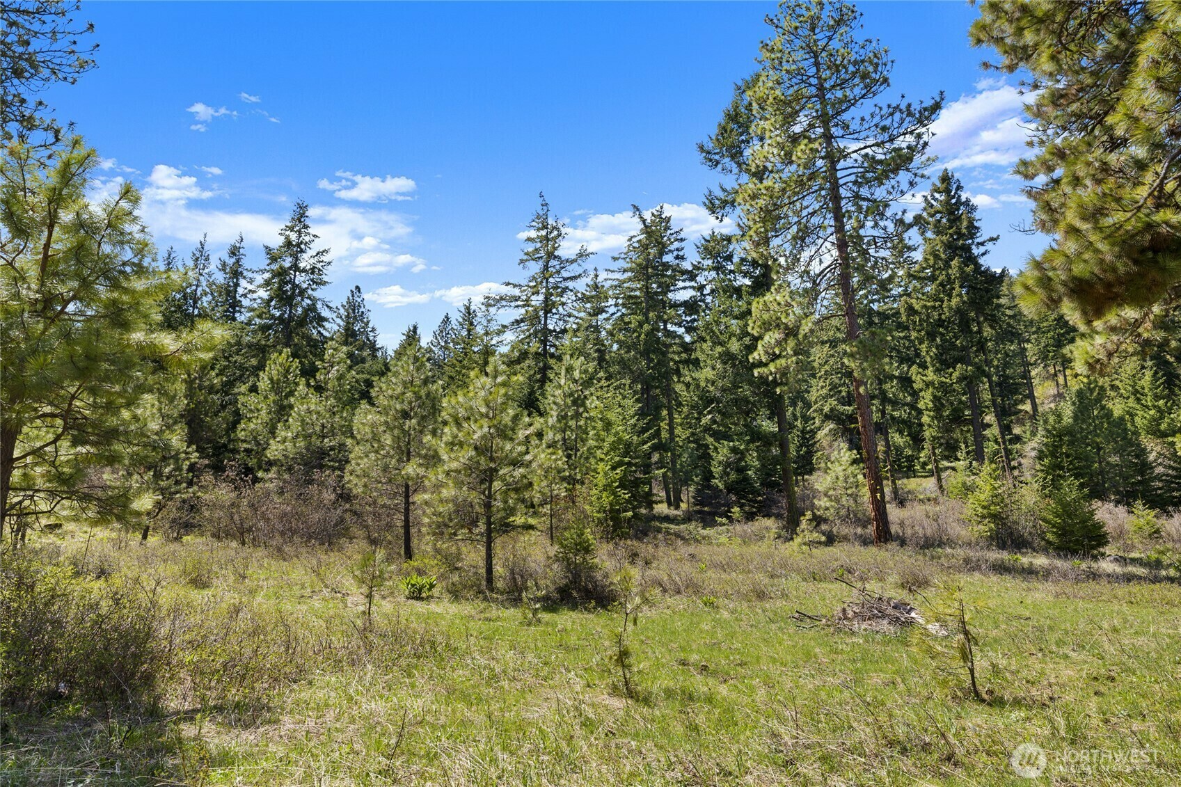 Property Photo: 401 Hazelnut Lane WA 98922