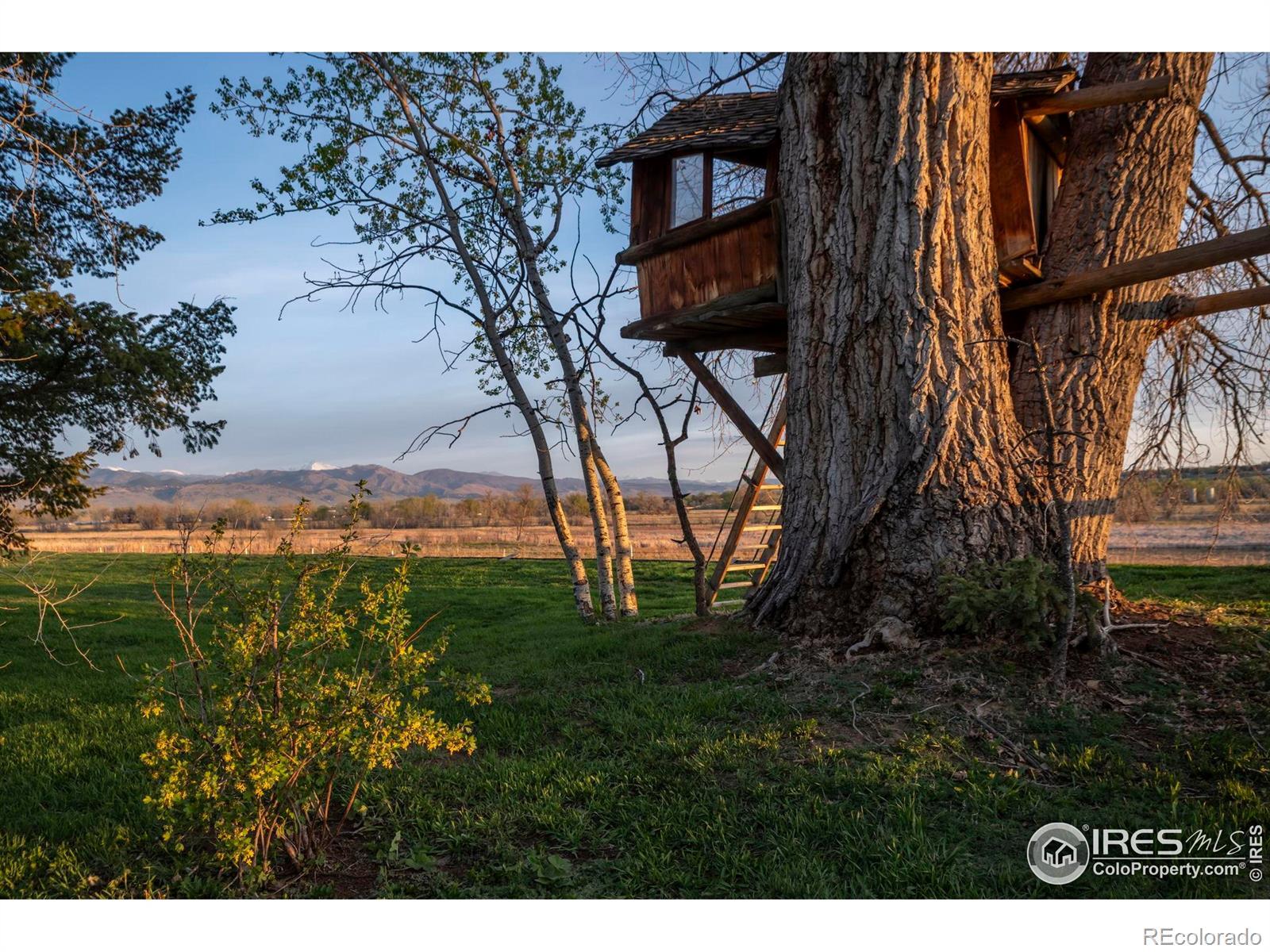 Property Photo: 7929 Valmont Road CO 80301