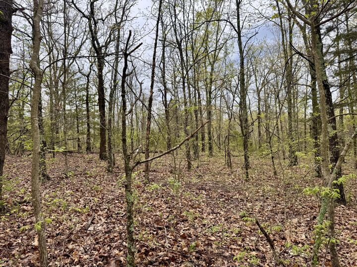 Property Photo:  Tbd State Highway U  MO 65704 