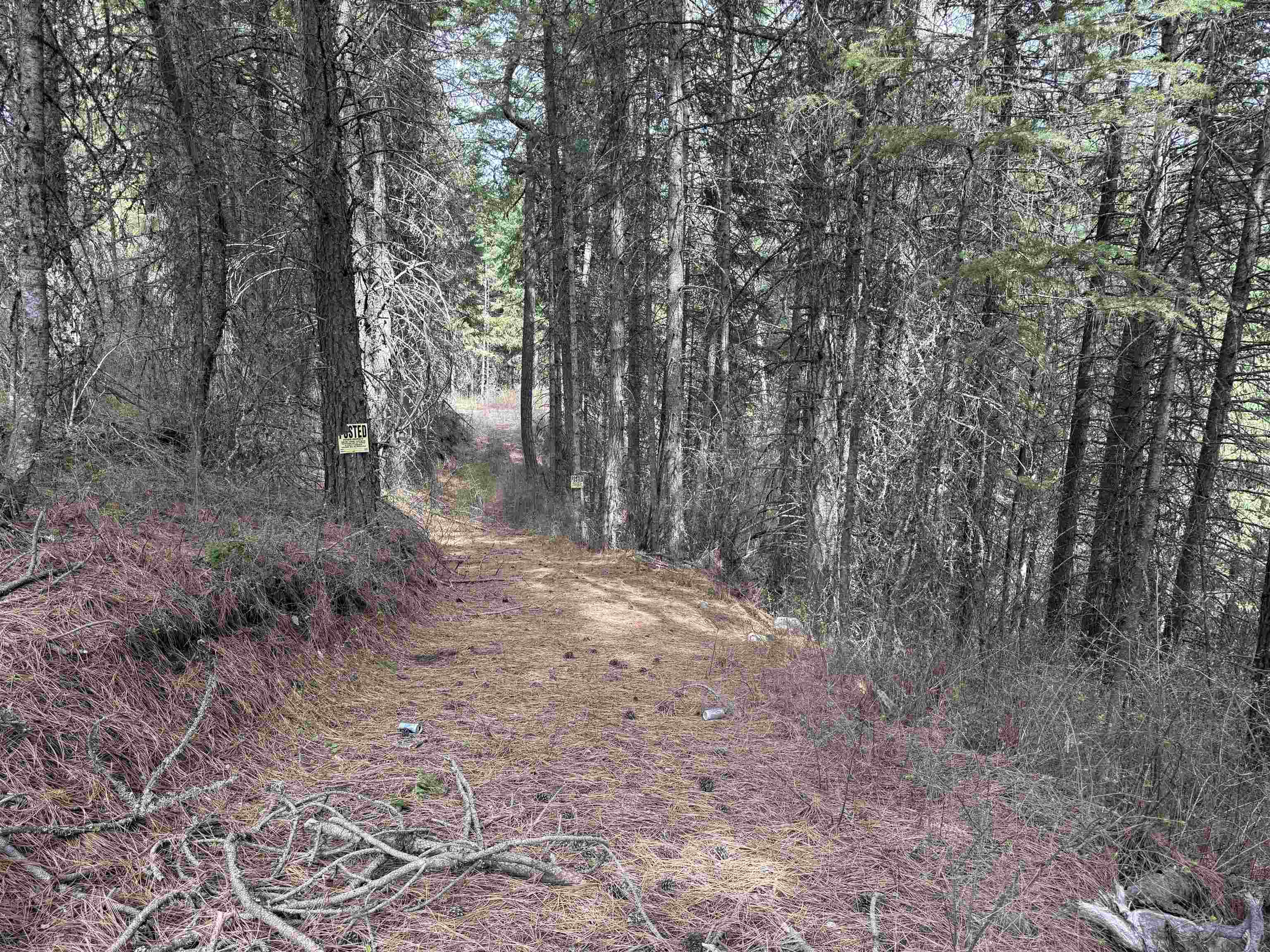 Property Photo: Nna Buck Creek Rd WA 99148