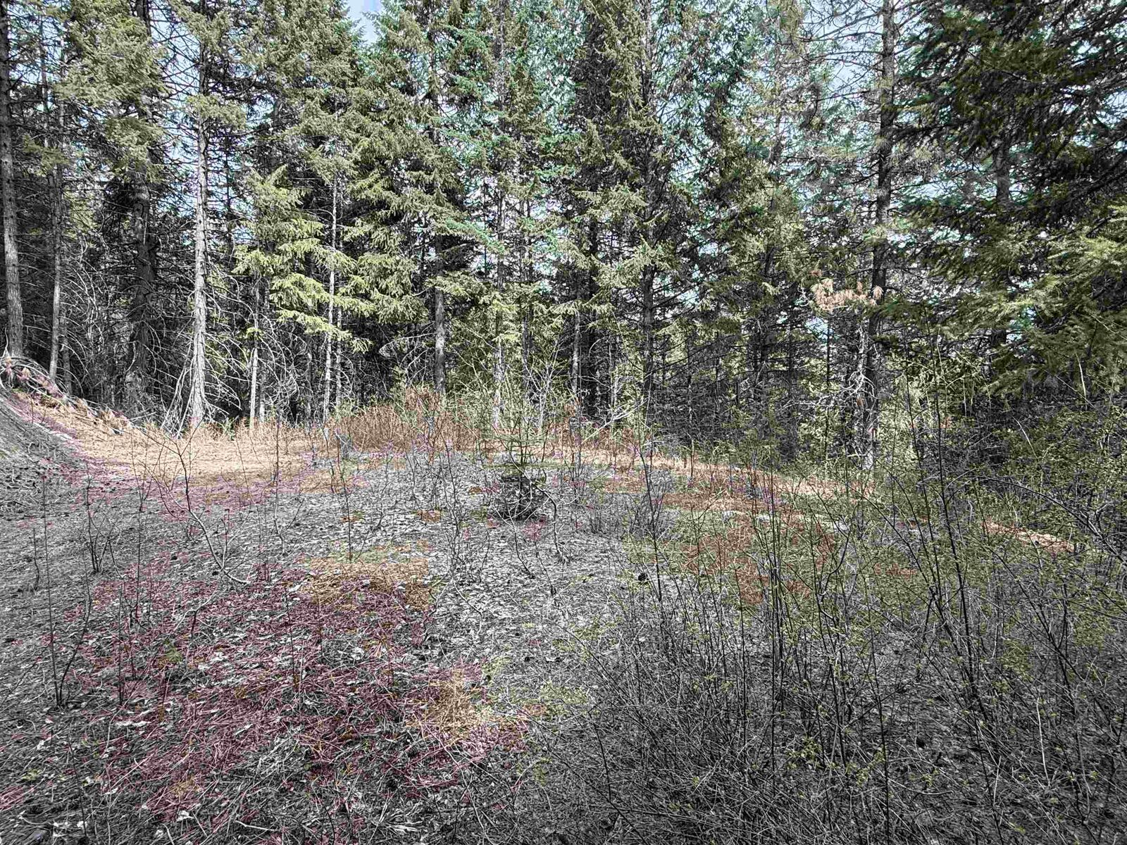 Property Photo:  Nna Buck Creek Rd  WA 99148 