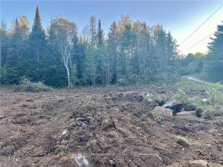 0 Stoney Settlement Road  Tudor and Cashel ON K0K 1Y0 photo