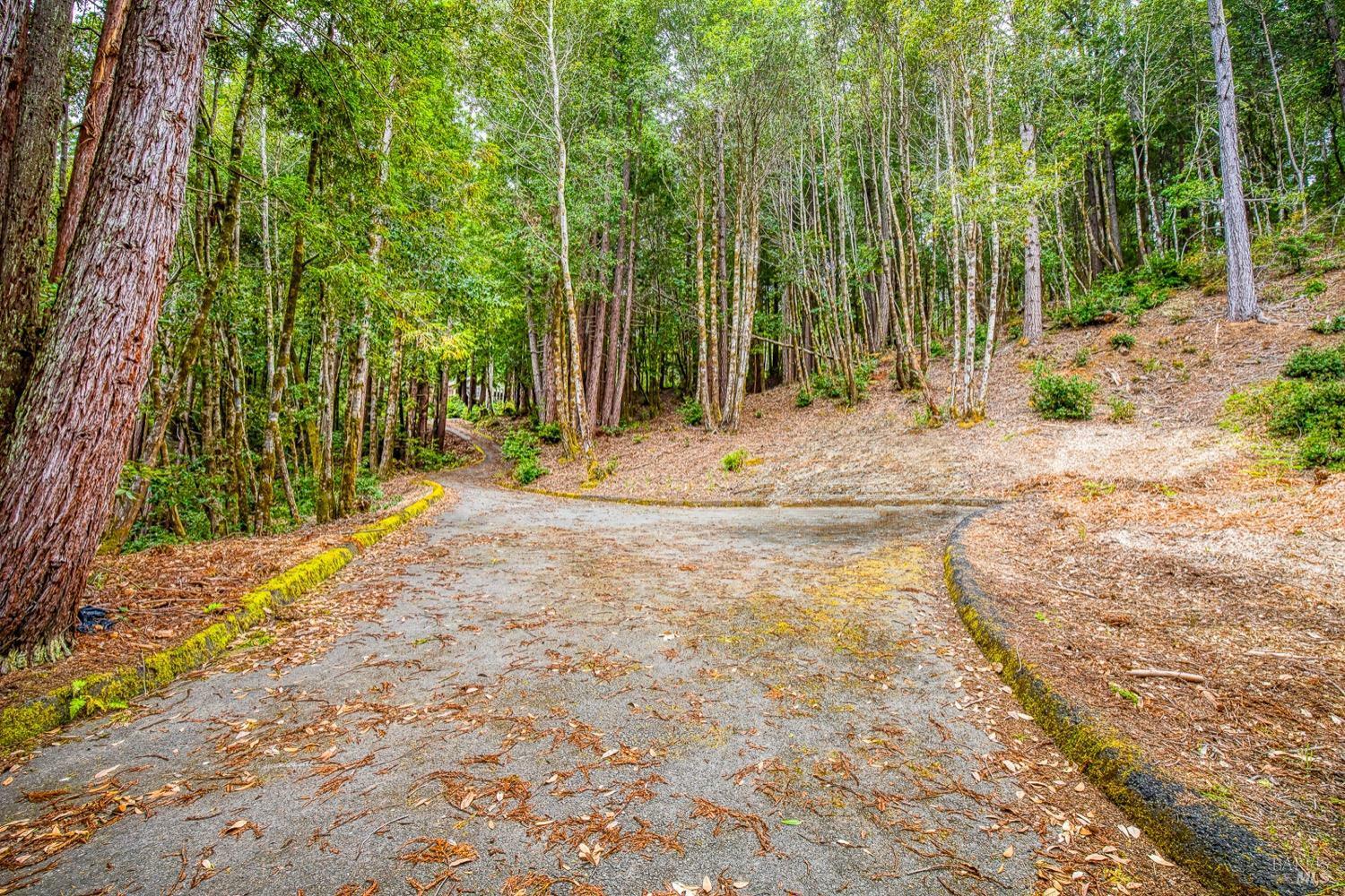 Property Photo: 22090 Lyons Court CA 95450