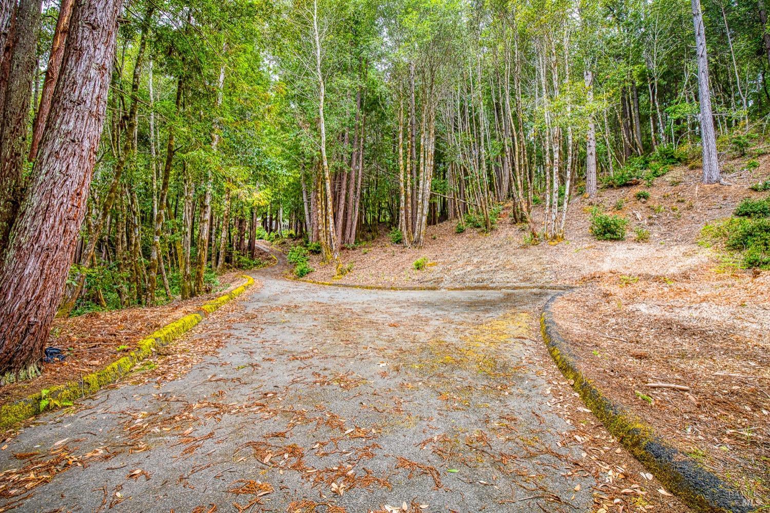 Property Photo: 22090 Lyons Court CA 95450