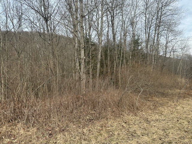 Property Photo: Cr-126 NY 14839
