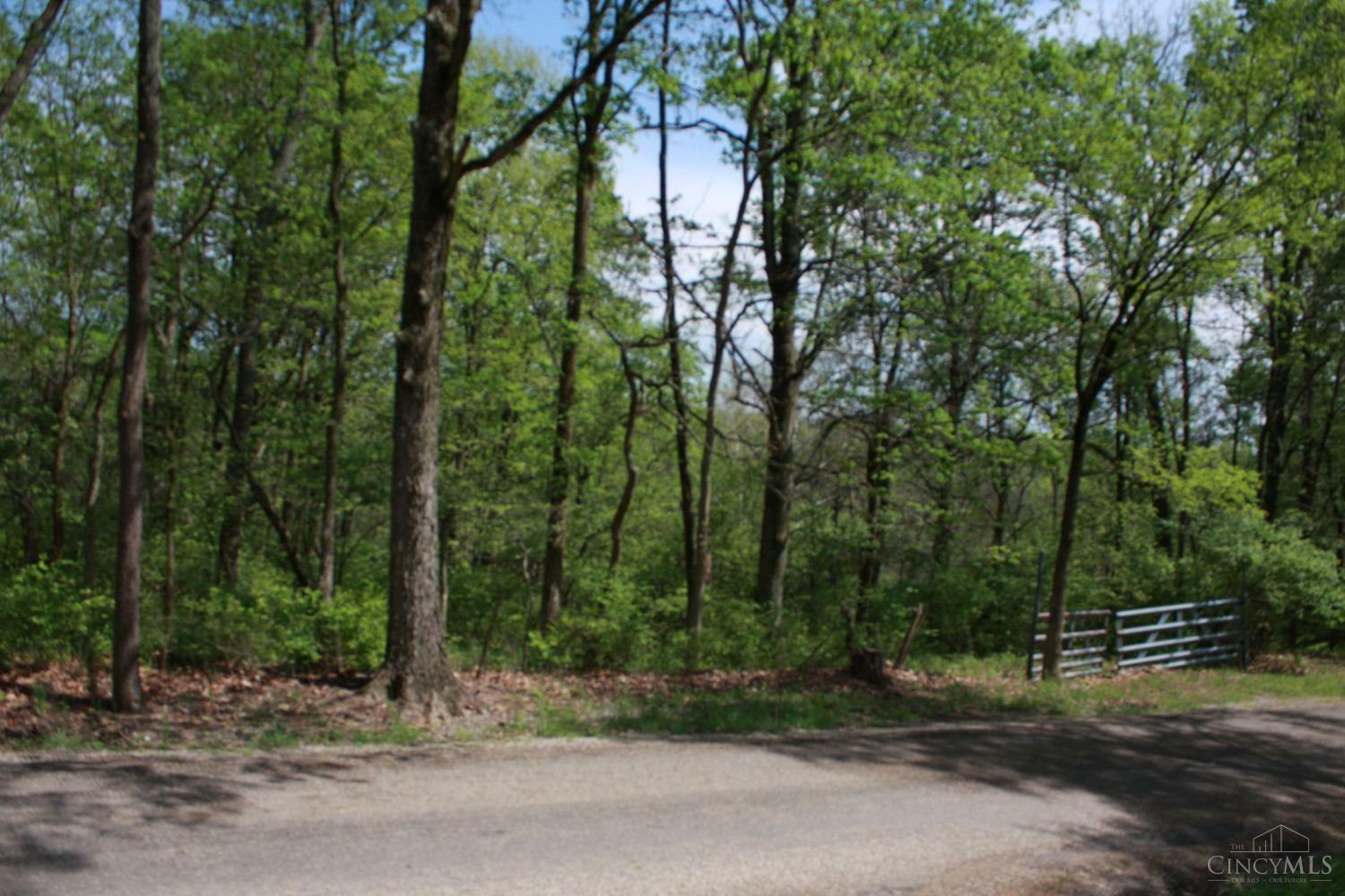 Property Photo: 0 Kentucky Avenue IN 47060