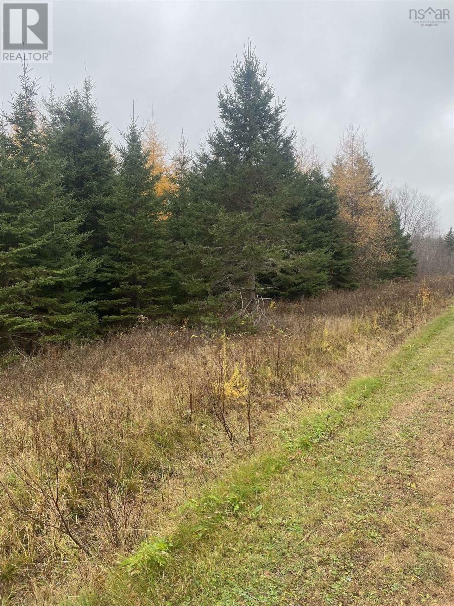 Property Photo:  Lot 9 New Cheverie Road  NS B0N 1E0 