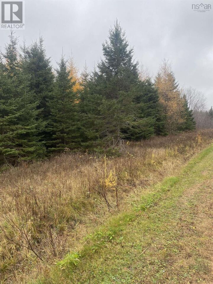 Property Photo:  Lot 9 New Cheverie Road  NS B0N 1E0 