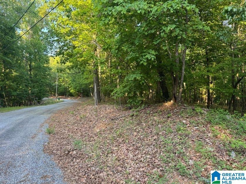 Property Photo: 0 Davis Acres Drive 72 &Amp 73 AL 35014