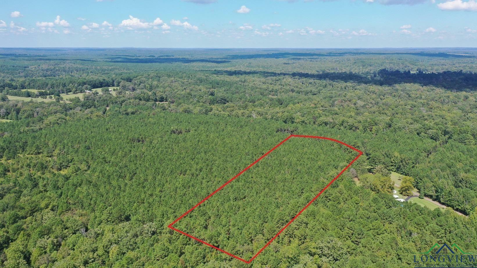 Property Photo: 0002 County Road 1926 Tract 2 TX 75563
